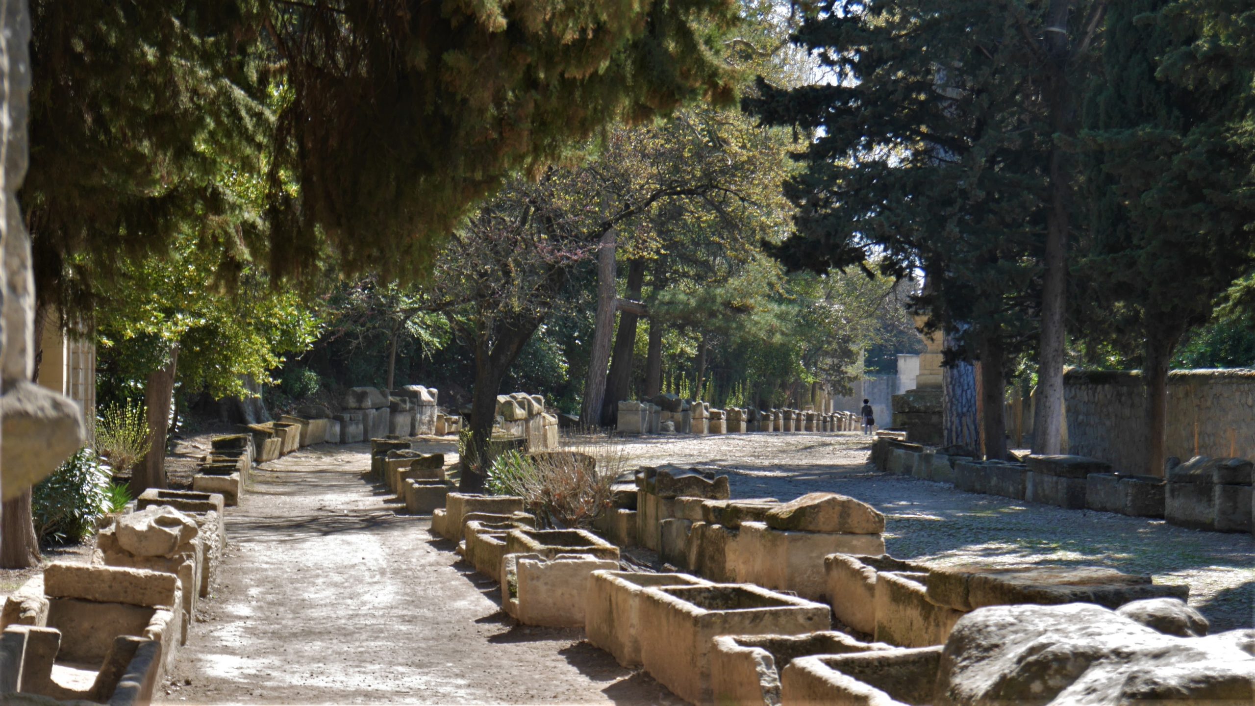 Balade aux Alyscamps